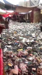 1000012831.mp4