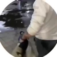 17525034812060.mp4