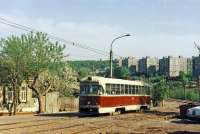 503752.jpg