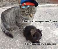 17560184983030.png