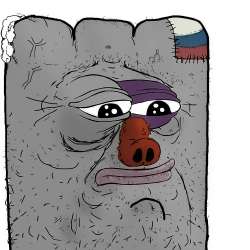 1000050117.jpg