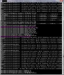 877x1038