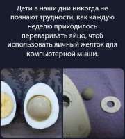 Переварка желтка для компьютерной мыши.png