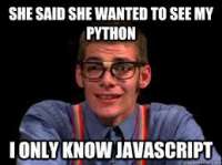 python and javascript.jpeg