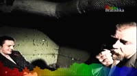5.mp4