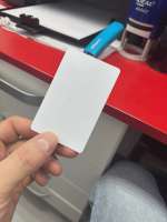 8b4a1774-3561-453c-a6f4-365103f2d65e.webp