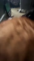 1756200501263.mp4