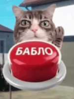 1756237129866.gif