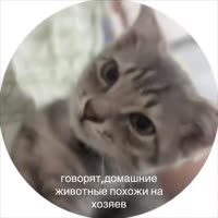61969789766942.mp4