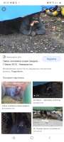 Безымянный-файл-изображения-(32)-5-b-76a4.jpg
