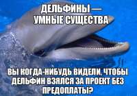 предоплата за работу: дельфин.jpg