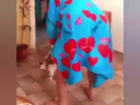 Кот балдеет на халате.mp4