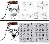 Электроника и гендеры.png