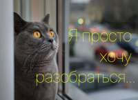 я просто хочу разобраться.jpg
