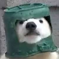 G031WJYjo.jpg