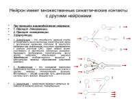 804f4cb2-056f-4912-8f15-a9e40d3ae9d3.jpeg
