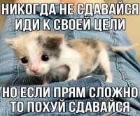22d6f35e4a5f80ad4aad86bc89dbd849.jpg