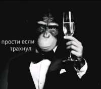 16502970270800.jpg