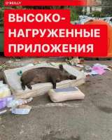 17414611535950.png