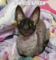 15fb22cc4ac932849bce7c8d7ccf685f.jpg
