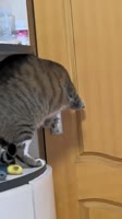 1749722005960.mp4