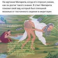 Зад Миларепы, мозоль от медитации.png