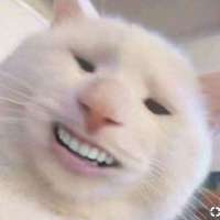 05f68579100c5e959a0ea3df9bfcfb5d.jpg