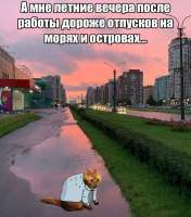 кот, работа и отдых на морях.jpg