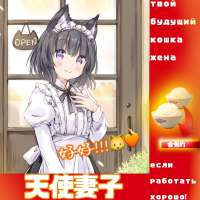 кошка жена если будешь работать хорошо.jpg