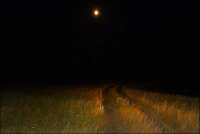 IMG20250703005939821.jpg