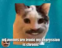 17460227583020.jpg