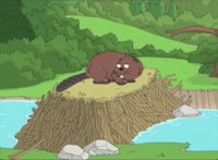 bober.webm