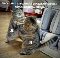 17531652050040.jpg