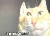 images.jpg