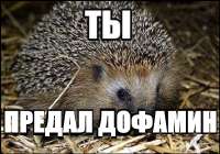 17462634551190.png