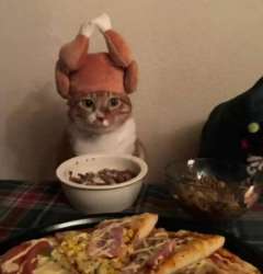 IMG4920.jpeg