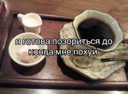 IMG6504.jpeg