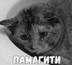 i (5)2896216407970050.jpeg