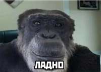 1749760972848.png