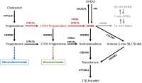 DHEA-is-synthesized-from-pregnenolone-through-the-D-pathway-red-arrows-thanks-the.png