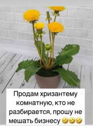 IMG-20250516-WA0000.jpg