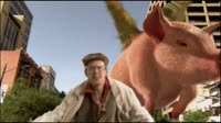 17177040846640.mp4