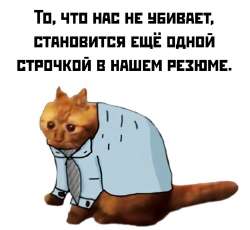 MDImNtw-6FY.jpg