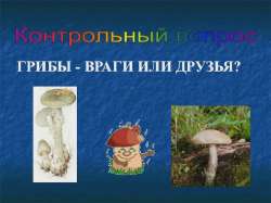 i (2).webp