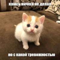 175104149791611845.jpeg