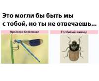 994f82654204e963fcf45d1a904763ef.jpg