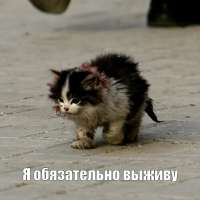 IMG3718.jpeg