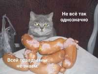 17534775779963.jpg