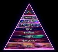 IMG1045.jpeg