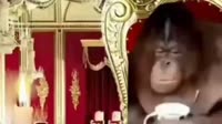 175191011953437484.webm